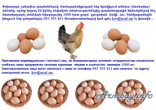 Предприятии нужны куриные яйца  ежемесячно минимум 1000шт.